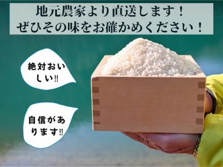 【令和7年産 新米 先行予約】米 定期便 10kg×6ヶ月 60kg コシヒカリ 佐伯の里の源流米 希少 農家直送 令和7年産 新米 白米 10キロ 6回 低農薬米 減農薬米 京都丹波産 こしひかり 家計応援 生活応援 ※北海道・沖縄・離島配送不可 ※2026年4月中旬頃より順次発送予定