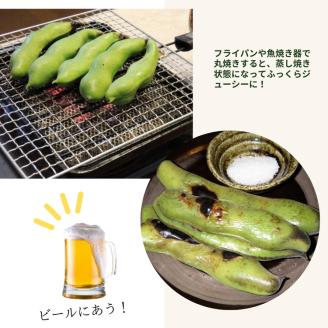 甘～い そら豆 2kg【期間限定】京都府・亀岡産 自然栽培のかたもとオーガニックファームよりお届け ※2026年5月上旬～6月上旬頃に順次発送予定 ※離島への配送不可