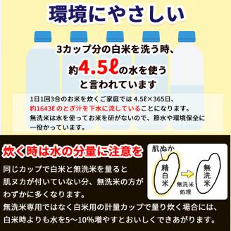 無洗米 10kg （5kg×2袋） 京都丹波産 コシヒカリ ※100セット限定 ※受注精米《米 白米 こしひかり ふるさと納税 無洗米 亀岡そだち》 ※北海道・沖縄・離島への配送不可