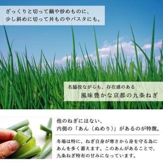 九条ねぎ 1kg《ネギ ねぎ 葱 長ネギ 長ねぎ 青ネギ 青ねぎ 根きり 京都 伝統野菜 京野菜》