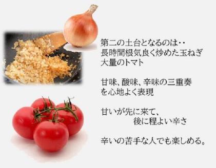 ＜水たき 玄海＞THE PUREMIUM 濃厚すぎる 鶏の旨味×野菜の旨味 水たき屋の本気の秘伝レシピ丹波赤どりカレー【10食入り】《送料無料 冷凍 お取り寄せ ギフト》※離島への配送不可 ※2025年1月下旬頃より順次発送いたします