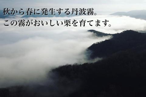 京都亀岡産 丹波くり M～Lサイズ 1.2kg【期間限定 数量限定】《栗 くり 丹波栗 小粒 お菓子用》 ※北海道・沖縄・離島への配送不可 ※2025年9月中旬頃より順次発送予定