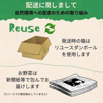 【2026年産 予約】にんにく 1kg 京都府・亀岡産 自然栽培のかたもとオーガニックファームよりお届け ※離島への発送不可 ※2026年6月下旬～10月下旬頃に順次発送予定