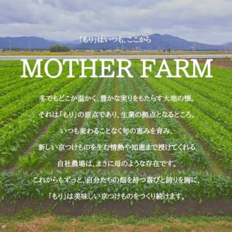 《京つけものもり》漬物 業務用 千枚漬 1kg・赤かぶら千枚 0.5kg 計1.5kg（500g×3袋） ※2025年11月上旬～2026年2月中旬頃に順次発送予定