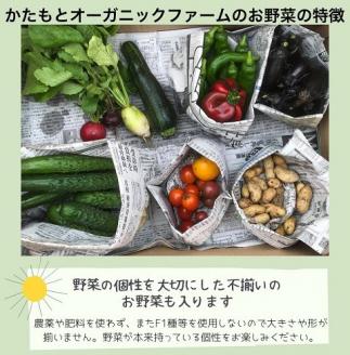 京都府・亀岡産 無農薬・自然栽培で育てた体も心も喜ぶ、かたもとオーガニックファームの季節のお野菜セット　10～20品目　≪産地直送　朝採れ　新鮮　京野菜≫