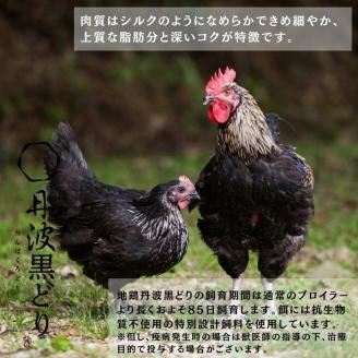 地鶏 丹波黒どり  濃厚 水炊きセット 3～4人前＜京都亀岡丹波山本＞《訳あり特別返礼品 水炊き 鍋 パーティー 鶏肉》