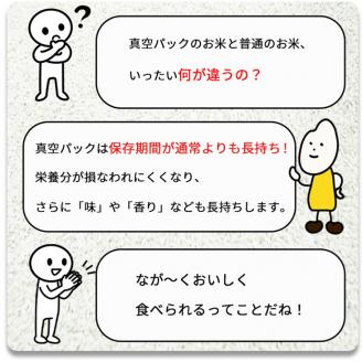 定期便 無洗米 10kg 12ヶ月 真空パック 京都丹波産 キヌヒカリ 12回定期便 10kg （2kg×5袋） 12回 計120kg ※受注精米