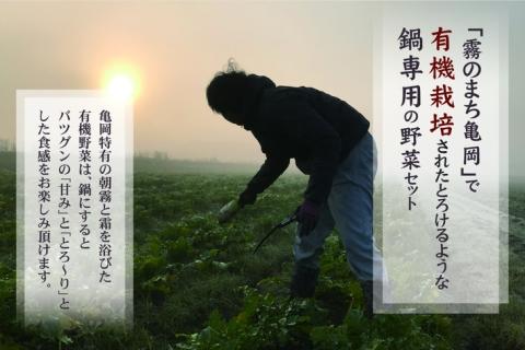 お鍋専用 有機野菜 セット《野菜 有機JAS認定 京野菜 オーガニック 栽培期間中化学肥料・農薬不使用『すずめファーム』》: 亀岡市ANAのふるさと納税