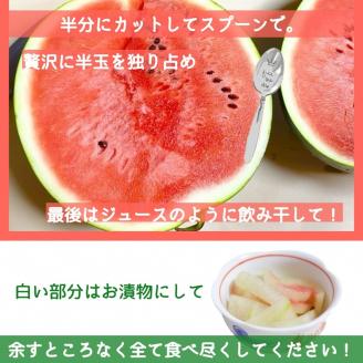 【2026年産 予約】すいか 1玉 京都府・亀岡産 自然栽培のかたもとオーガニックファームよりお届け ※2026年8月頃より順次発送予定 ※離島への発送不可
