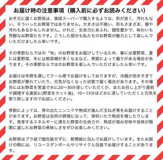 【6回定期便】かたもとオーガニックファームの農業研修生が無農薬・自然栽培で育てたお野菜セット 8～10品目 ≪産地直送 朝採れ 新鮮 京野菜 京都府 亀岡産 ≫