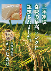 【1月発送】【定期便】令和7年産 新米 5kg 6ヶ月 京都丹波産 キヌヒカリ 白米＜JA京都 たわわ朝霧＞ 6回定期便 5kg×6回 計30kg 毎月発送に合わせて精米