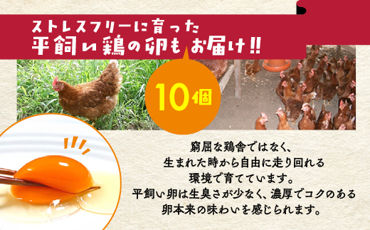 《アスカ有機農園》旬の京野菜セットL(平飼い卵付)