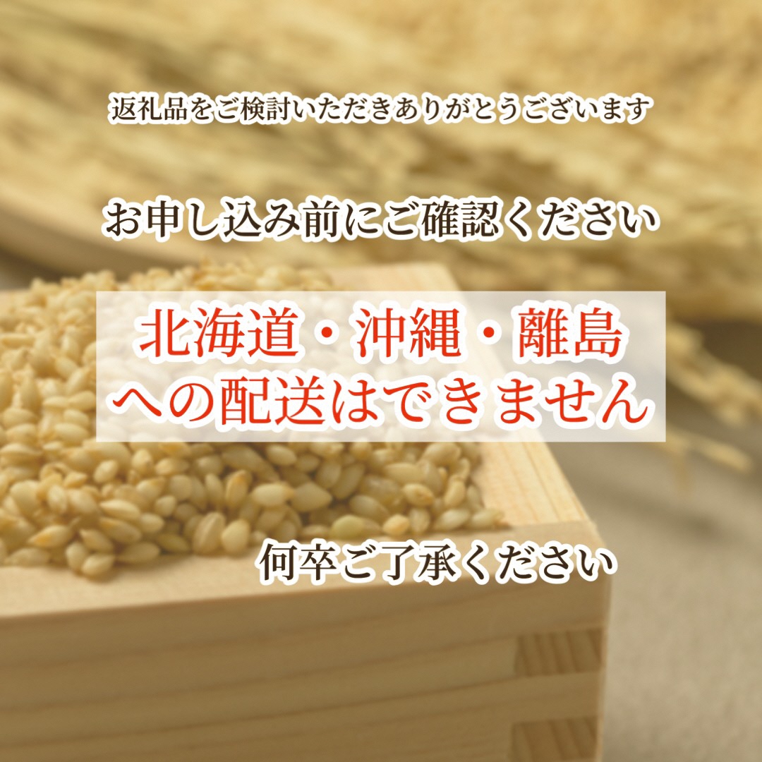 【令和7年産先行予約】米 キヌヒカリ 玄米 20kg〈アグリにのうみ〉京都・亀岡産《令和7年産》◇ ※北海道・沖縄・離島への配送不可 ※2025年10月中旬頃から順次発送予定