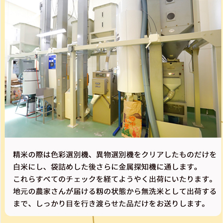 無洗米 5kg 京都丹波産 キヌヒカリ ※受注精米《米 大嘗祭供納品種》 ※北海道・沖縄・離島への配送不可