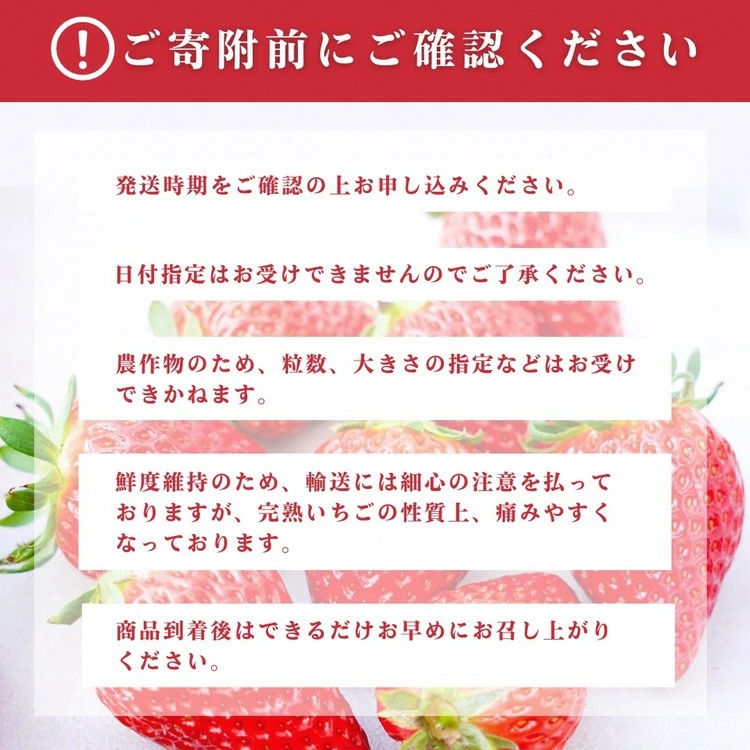来シーズン予約受付 高級 京いちご 完熟 朝採れ 約2,000g（250g 8パック）小島農園 紅ほっぺ おいCベリー スターナイトから厳選 ※離島への配送不可 ※2026年1月中旬～5月下旬頃に順次発送予定