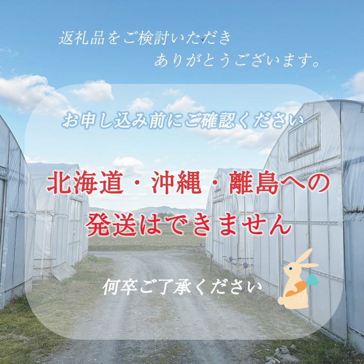 京都産 コシヒカリ2kg ＋ 旬の野菜セット 京都 佐伯の里 新鮮 野菜 7～10品 コシヒカリ2kg 新米 京都丹波・亀岡産 季節の野菜 詰め合わせ 訳あり 生活応援 ※北海道・沖縄・離島への配送不可 ※2025年9月下旬頃より順次発送