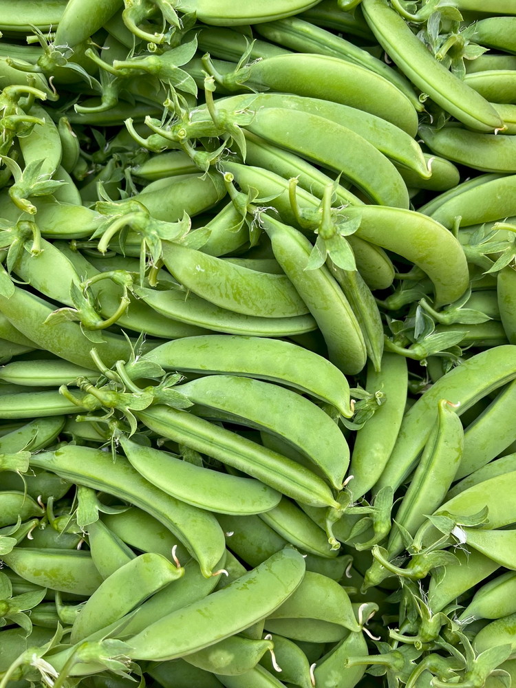 ＜先行予約＞パリ甘！旬のスナップエンドウ1kg 京都 亀岡産 旬 おつまみ 取り寄せ 人気 ※北海道・沖縄・離島への配送不可 ※2026年5月中旬～6月中旬頃に順次発送