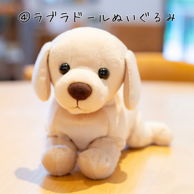 【返礼品相当額で盲導犬の育成を支援】支援額6,000円(記念品あり)エコバッグなど盲導犬協会オリジナルグッズ進呈[行きたい場所に安心していける社会に…]