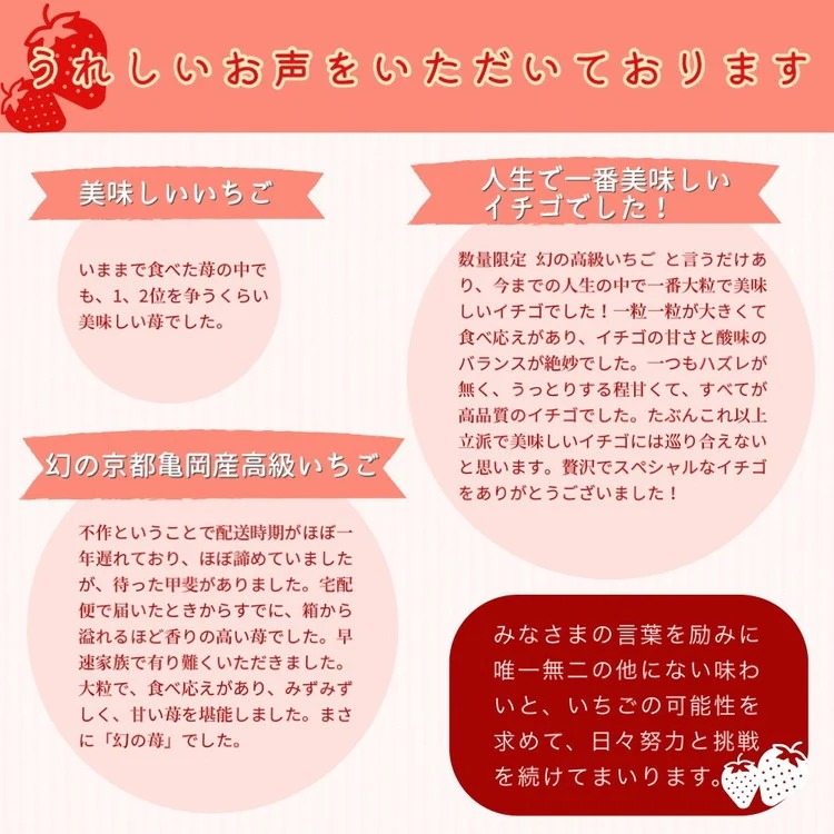 【3回定期便】【来シーズン予約受付】数量限定 幻の京都亀岡産 高級いちご【女峰】1箱分×3回定期便 ※化学肥料・農薬極力不使用《イチゴ 苺 いちご フルーツ 農家直送》 ※2026年1月中旬～5月下旬頃に順次発送予定