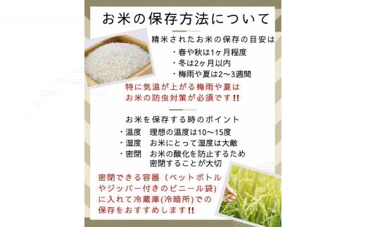 【12月末まで】【毎月1回お届け】【定期便】令和7年産 新米 京都丹波米 こしひかり10kg×12回 計120kg 米 12ヶ月 白米 12回定期便 ※精米したてをお届け コシヒカリ ※北海道・沖縄・離島への配送不可