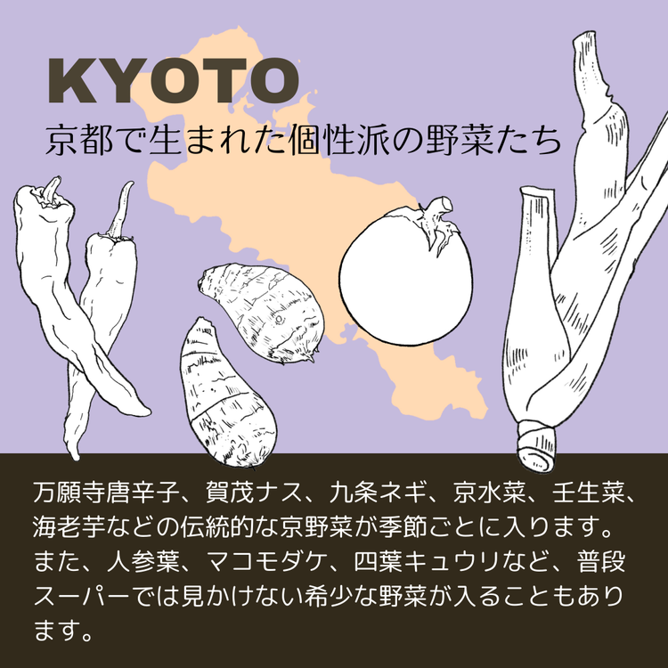 【4回定期便】＜３６９商店＞京都丹波産旬の野菜セットデラックス！平飼い卵10個、季節の果物又は加工品　※栽培期間中農薬・化学肥料不使用※ 野菜 定期便 4回 卵 ※北海道・沖縄・離島への配送不可