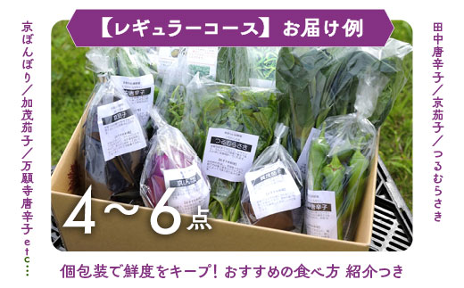 【6回定期便】旬の京野菜　毎月お届けレギュラーコース（全6回）＆『葉酸たまご』6個入り×1パック×3回分付≪定期便 野菜 ふるさと納税野菜≫ ※沖縄・離島・諸島へのお届け不可