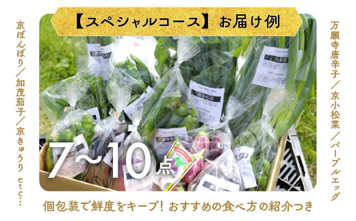 【12回定期便】旬の京野菜 毎月お届けスペシャルコース（全12回）＆『葉酸たまご』10個入り×1パック×3回分付き
