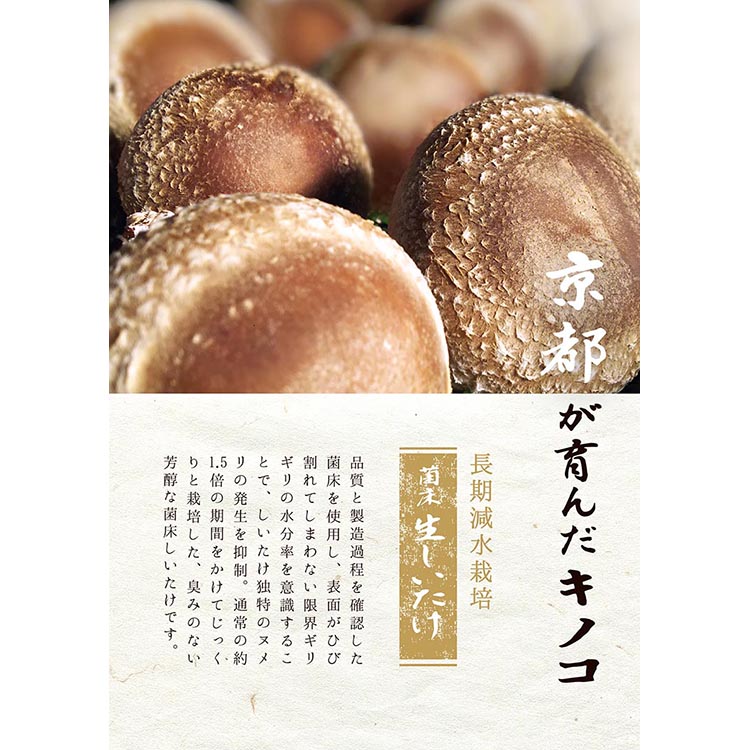 お野菜セット アビトルベジタブル+しいたけ 合計8～10品目詰め合わせセット 季節の野菜 旬の野菜 やさい 新鮮 産地直送 きのこ キノコ 産直 国産 京都 京都産 ※北海道・沖縄・離島への配送不可