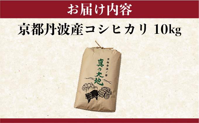 令和7年産 コシヒカリ 10kg 京都丹波産 農家直送 産地直送 スピード配送【～3月31日まで】※北海道･沖縄･離島への配送不可
