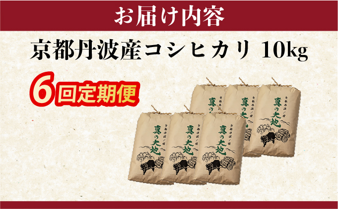 【定期6回】令和7年産コシヒカリ 10kg×6回 京都丹波産 農家直送 産地直送 スピード配送【～3月31日まで】※北海道･沖縄･離島への配送不可