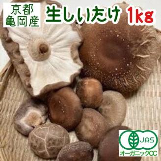 安心・安全 有機JAS認証取得　京都亀岡産 有機 生椎茸　京都しいたけ「厚太」1kg