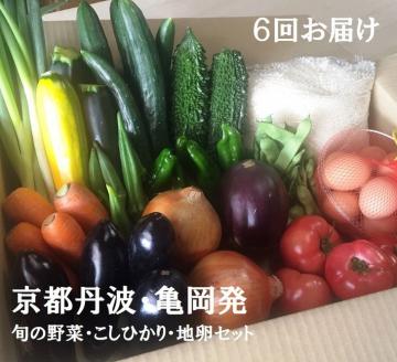 売り切れ【6回定期便】隔月6回お届け　京都丹波・亀岡発 旬の野菜・こしひかり・地卵 詰め合わせセット※北海道、離島、沖縄地域への発送不可