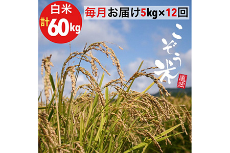 【12回定期便】京都 亀岡産 きぬひかり 「こぞう米」 5kg × 12ヶ月 合計60kg 毎月お届け《米 令和6年産 生活応援 訳あり》 ※北海道・沖縄・離島への配送不可