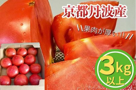 【7月下旬までの期間限定】ワイワイ・ファームの亀岡産トマト詰め合わせ 3kg以上 ≪京都 丹波 夏野菜 京野菜 産地 農家 直送 常温≫ ※離島への配送不可