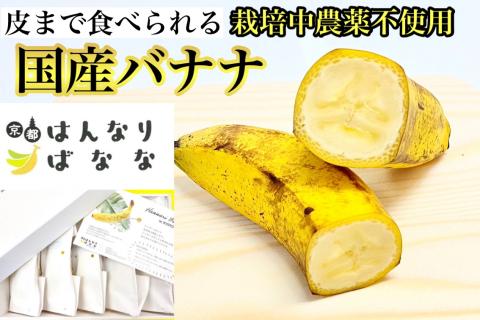 国産バナナ 5本セット 皮まで食べられる 『京都はんなりばなな』《栽培期間中農薬不使用 京都初 亀岡産 希少》  ※離島への配送不可
