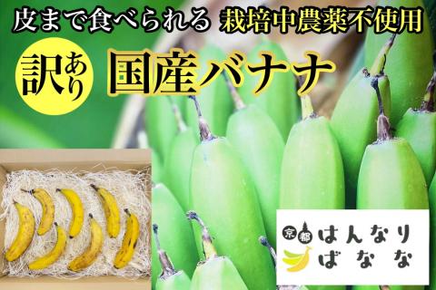 『京都はんなりばなな』1kg 皮まで食べられる 国産バナナ【訳あり】《栽培期間中農薬不使用 京都初 亀岡産 希少 規格外 フルーツ》 ※離島への配送不可
