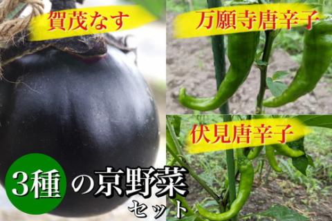 京夏野菜セット 京都・亀岡産 万願寺唐辛子 賀茂なす 伏見唐辛子《栽培期間中農薬不使用 有機 京野菜 夏野菜》 ※北海道・沖縄・離島への配送不可:  亀岡市ANAのふるさと納税