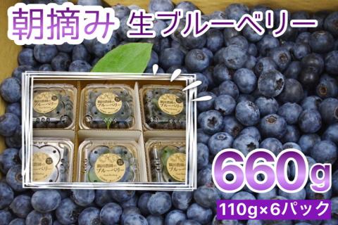 【訳あり】＜すだ農園＞栽培期間中農薬不使用 朝摘み ブルーベリー 生果実【小粒・中粒ふぞろい】660g ｜ 旬 果実 新鮮 フルーツ ※2025年8月上旬～9月初旬頃に順次発送予定 ※北海道・沖縄・離島への発送不可