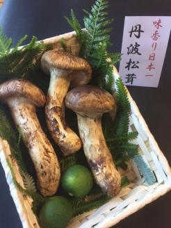 期間・数量限定 極上 丹波松茸 詰め合わせ ＜京都・八光館＞ ※2025年10月中旬以降順次発送予定 ※北海道・沖縄・北東北（青森、岩手、秋田）・その他離島配送不可