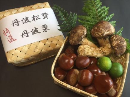 [先行予約]期間・数量限定 極上 丹波松茸 丹波栗 詰め合わせ＜京都・八光館＞ ※2025年10月中旬以降発送予定 ※北海道・沖縄・北東北（青森、岩手、秋田）・その他離島配送不可