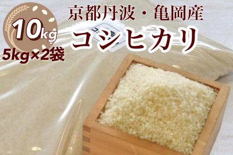 令和5年産 米 10kg 京都丹波産 コシヒカリ 白米＜JA京都 たわわ朝霧＞ 発送に合わせて精米