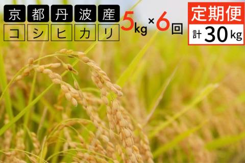 【定期便】令和5年産 米 5kg 6ヶ月 京都丹波産 コシヒカリ 白米＜JA京都 たわわ朝霧＞ 6回定期便 5kg×6回 計30kg 毎月発送に合わせて精米