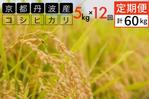 【定期便】令和5年産 米 5kg 12ヶ月 京都丹波産 コシヒカリ 白米＜JA京都 たわわ朝霧＞ 12回定期便 5kg×12回 計60kg 毎月発送に合わせて精米