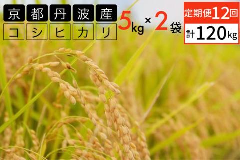 【定期便】令和5年産 米 10kg 12ヶ月 京都丹波産 コシヒカリ 白米＜JA京都 たわわ朝霧＞ 12回定期便 10kg（5kg×2袋）×12回 計120kg 毎月発送に合わせて精米 京都丹波産