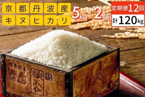 【定期便】令和5年産 米 10kg 12ヶ月 京都丹波産 キヌヒカリ 白米＜JA京都 たわわ朝霧＞ 12回定期便 10kg（5kg×2袋）×12回 計120kg 毎月発送に合わせて精米 京都丹波産