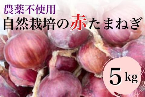 【2026年産 予約】赤たまねぎ 5kg 京都府・亀岡産 自然栽培のかたもとオーガニックファームよりお届け ※2026年6月頃より順次発送予定 ※離島への発送不可