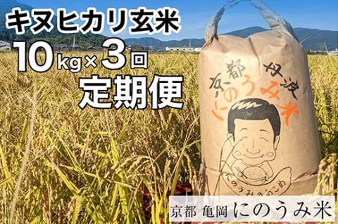【定期便】【令和6年産先行予約】米 キヌヒカリ 定期便 玄米 10kg×3カ月〈アグリにのうみ〉京都・亀岡産《令和6年産》◇※北海道・沖縄・離島への配送不可※2024年10月中旬～11月中旬頃に順次発送予定