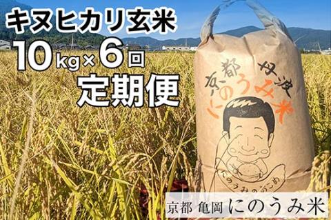 【定期便】【令和6年産先行予約】米 キヌヒカリ 定期便 玄米 10kg×6カ月〈アグリにのうみ〉京都・亀岡産《令和6年産》◇※北海道・沖縄・離島への配送不可※2024年10月中旬～11月中旬頃に順次発送予定