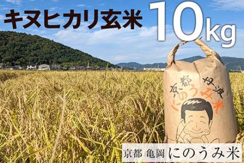【令和7年産先行予約】米 キヌヒカリ 玄米 10kg〈アグリにのうみ〉京都・亀岡産《令和7年産》◇ ※北海道・沖縄・離島への配送不可 ※2025年10月中旬頃から順次発送予定