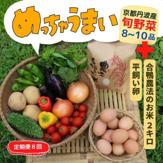 【8回定期便】＜３６９商店＞京都丹波産旬の野菜セットスペシャル！ 有機栽培米キヌヒカリ2kgと平飼い卵10個入り　※全て栽培期間中農薬・化学肥料不使用